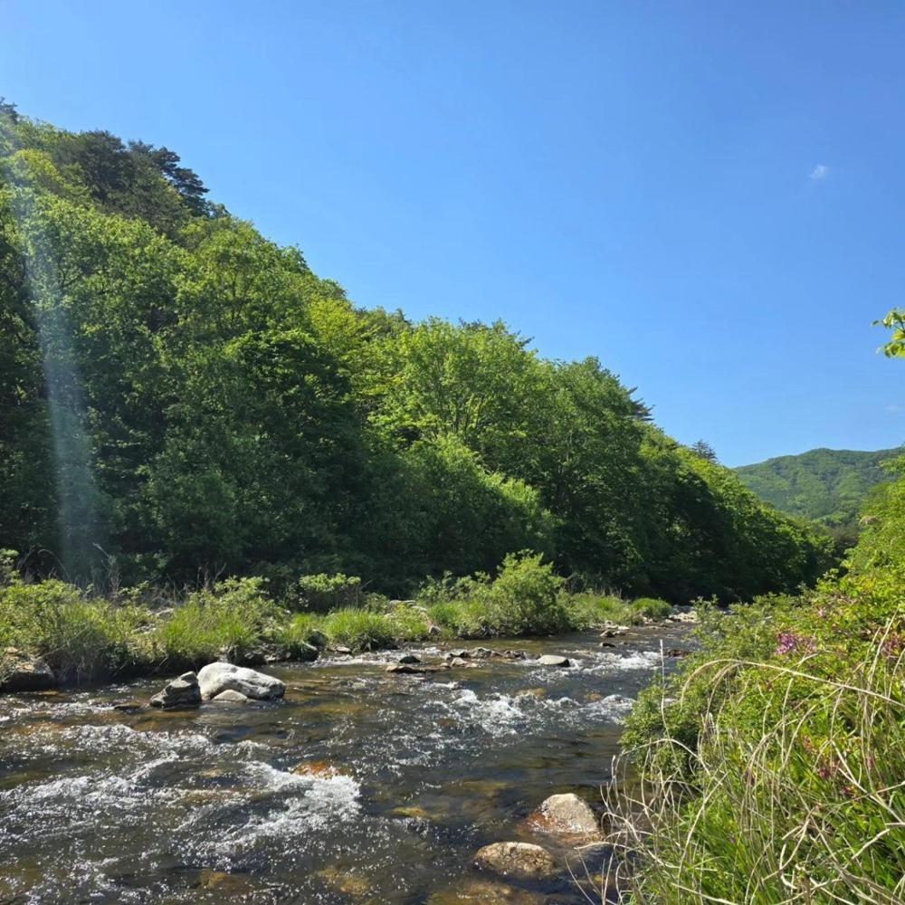 Pyeongchang Heungjeong Valley 409 Pension Exterior photo